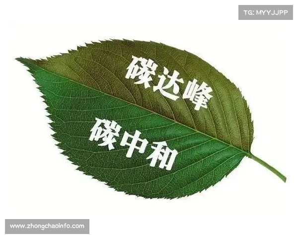 乌迪内斯发布碳中和计划 2030年实现零排放目标推进绿色可持续发展